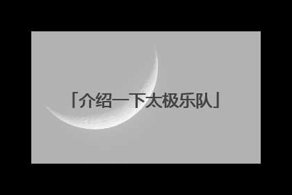 介绍一下太极乐队