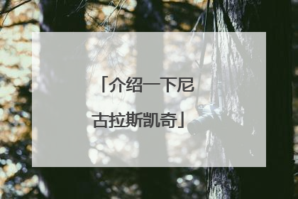 介绍一下尼古拉斯凯奇