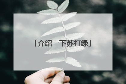 介绍一下苏打绿