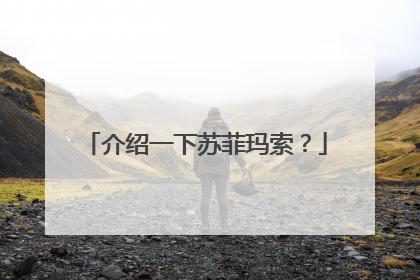 介绍一下苏菲玛索?