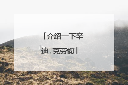 介绍一下辛迪.克劳馥