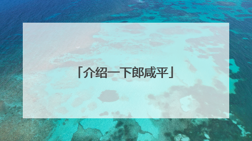 介绍一下郎咸平