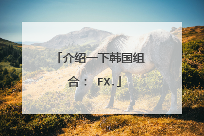 介绍一下韩国组合: FX.