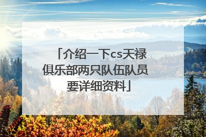 介绍一下cs天禄俱乐部两只队伍队员 要详细资料