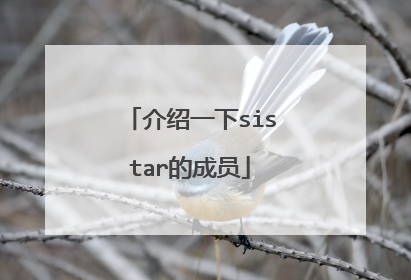 介绍一下sistar的成员