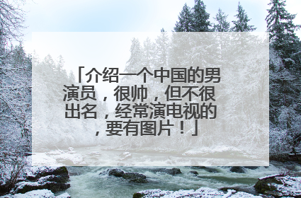 介绍一个中国的男演员，很帅，但不很出名，经常演电视的，要有图片！