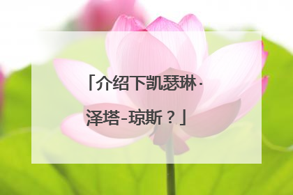 介绍下凯瑟琳·泽塔-琼斯?