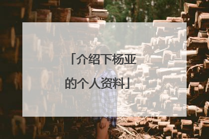 介绍下杨亚的个人资料