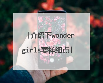 介绍下wondergirls要祥细点