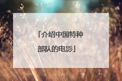 介绍中国特种部队的电影