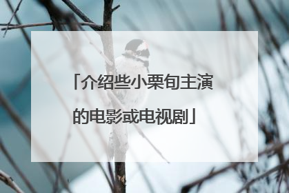 介绍些小栗旬主演的电影或电视剧
