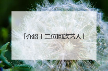 介绍十二位回族艺人