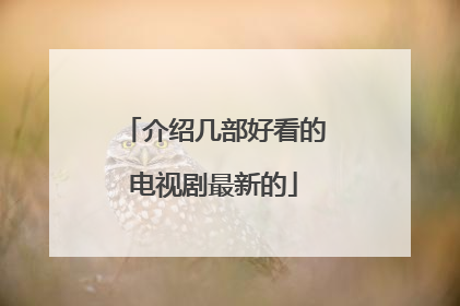 介绍几部好看的电视剧最新的