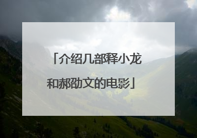 介绍几部释小龙和郝劭文的电影