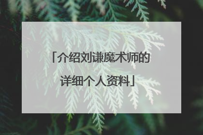 介绍刘谦魔术师的 详细个人资料