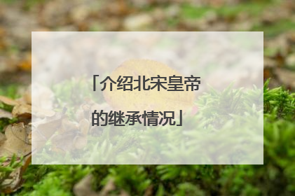 介绍北宋皇帝的继承情况