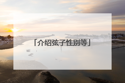 介绍弦子性别等