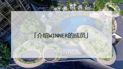 介绍WINNER的成员