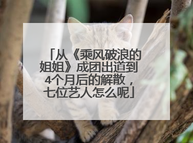 从《乘风破浪的姐姐》成团出道到4个月后的解散，七位艺人怎么呢