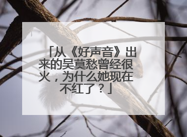 从《好声音》出来的吴莫愁曾经很火，为什么她现在不红了？