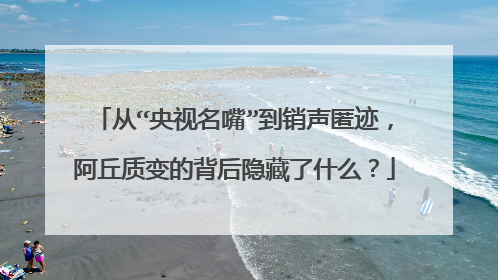从“央视名嘴”到销声匿迹，阿丘质变的背后隐藏了什么？