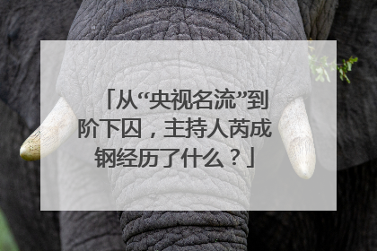 从“央视名流”到阶下囚，主持人芮成钢经历了什么？