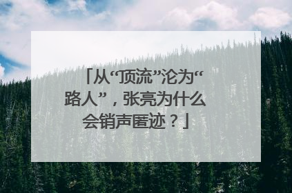 从“顶流”沦为“路人”，张亮为什么会销声匿迹？