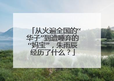 从火遍全国的“华子”到遭唾弃的“妈宝”,朱雨辰经历了什么?