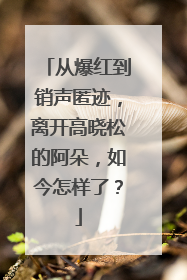 从爆红到销声匿迹,离开高晓松的阿朵,如今怎样了?