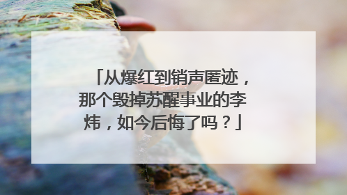 从爆红到销声匿迹,那个毁掉苏醒事业的李炜,如今后悔了吗?