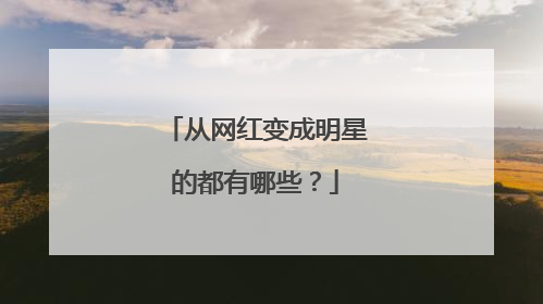 从网红变成明星的都有哪些？