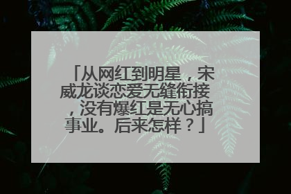 从网红到明星，宋威龙谈恋爱无缝衔接，没有爆红是无心搞事业。后来怎样？