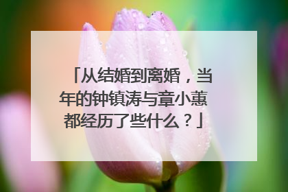 从结婚到离婚，当年的钟镇涛与章小蕙都经历了些什么？