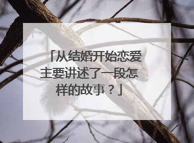 从结婚开始恋爱主要讲述了一段怎样的故事?
