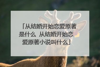 从结婚开始恋爱原著是什么 从结婚开始恋爱原著小说叫什么