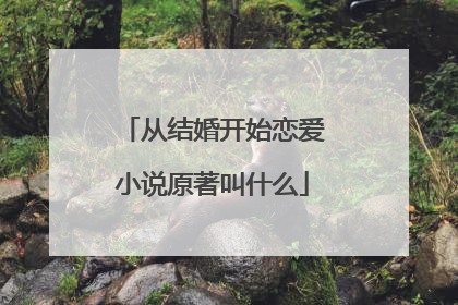 从结婚开始恋爱小说原著叫什么