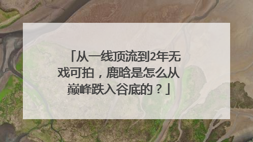 从一线顶流到2年无戏可拍,鹿晗是怎么从巅峰跌入谷底的?