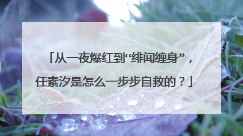 从一夜爆红到“绯闻缠身”,任素汐是怎么一步步自救的?