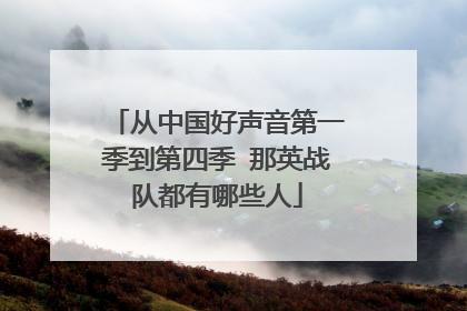 从中国好声音第一季到第四季 那英战队都有哪些人