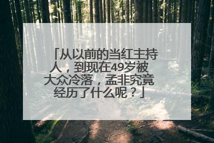 从以前的当红主持人，到现在49岁被大众冷落，孟非究竟经历了什么呢？