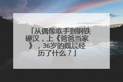 从偶像歌手到钢铁硬汉，上《爸爸当家》，36岁的魏晨经历了什么？