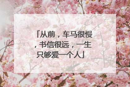 从前，车马很慢，书信很远，一生只够爱一个人