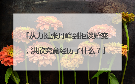 从力挺张丹峰到拒谈婚变，洪欣究竟经历了什么？