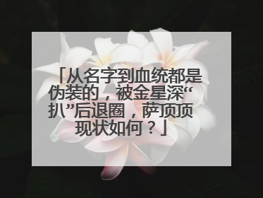从名字到血统都是伪装的,被金星深“扒”后退圈,萨顶顶现状如何?