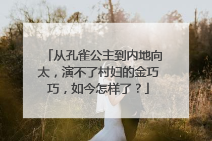 从孔雀公主到内地向太，演不了村妇的金巧巧，如今怎样了？