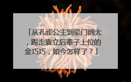 从孔雀公主到豪门阔太，踢走袁立后奉子上位的金巧巧，如今怎样了？