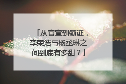 从官宣到领证,李荣浩与杨丞琳之间到底有多甜?