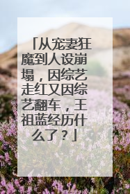 从宠妻狂魔到人设崩塌，因综艺走红又因综艺翻车，王祖蓝经历什么了？