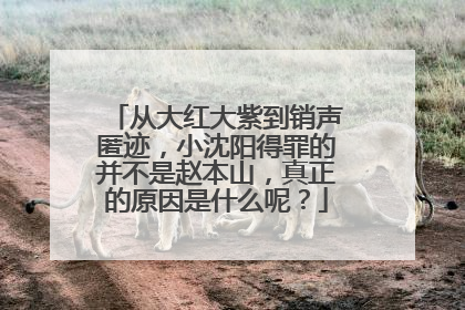 从大红大紫到销声匿迹，小沈阳得罪的并不是赵本山，真正的原因是什么呢？