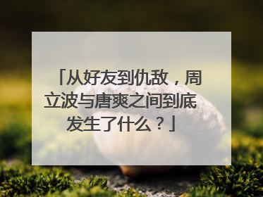 从好友到仇敌,周立波与唐爽之间到底发生了什么?